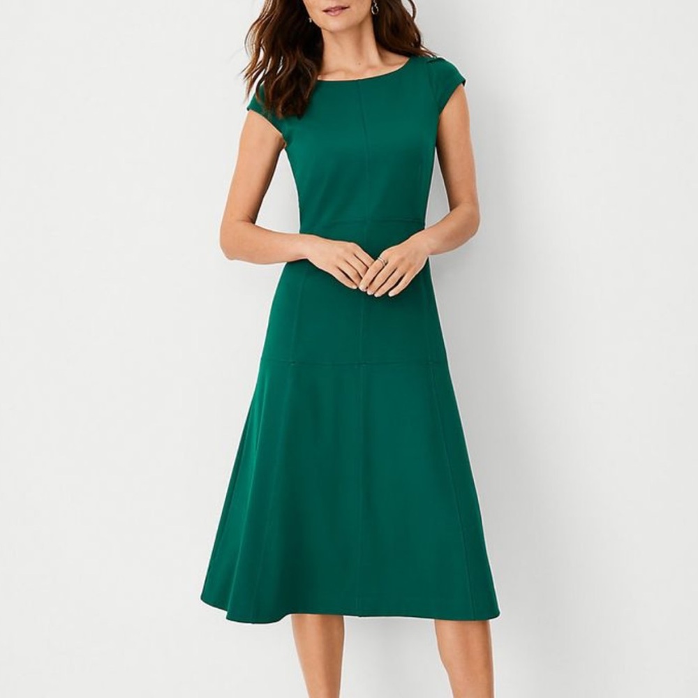 Ann Taylor Seamed Flare Dress